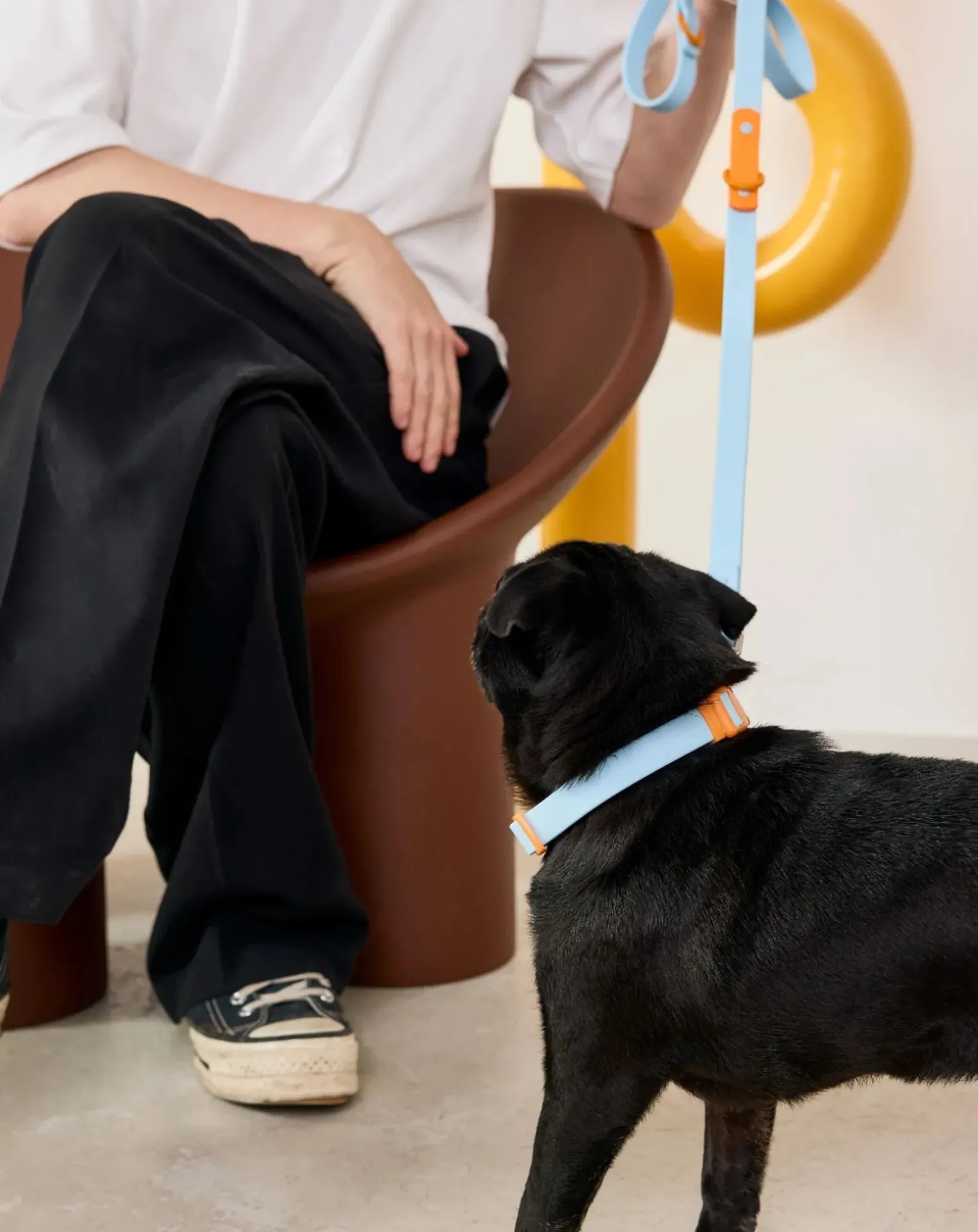 Adjustable dog leash