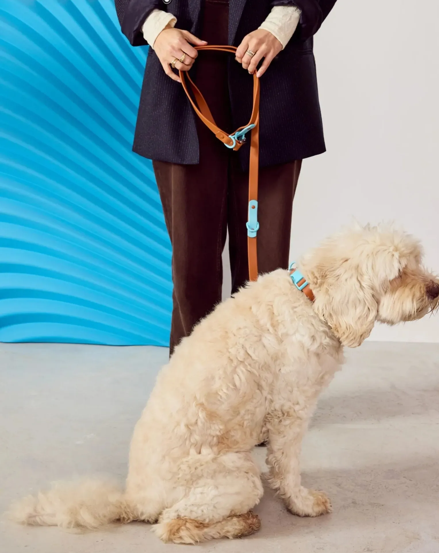 Adjustable dog leash