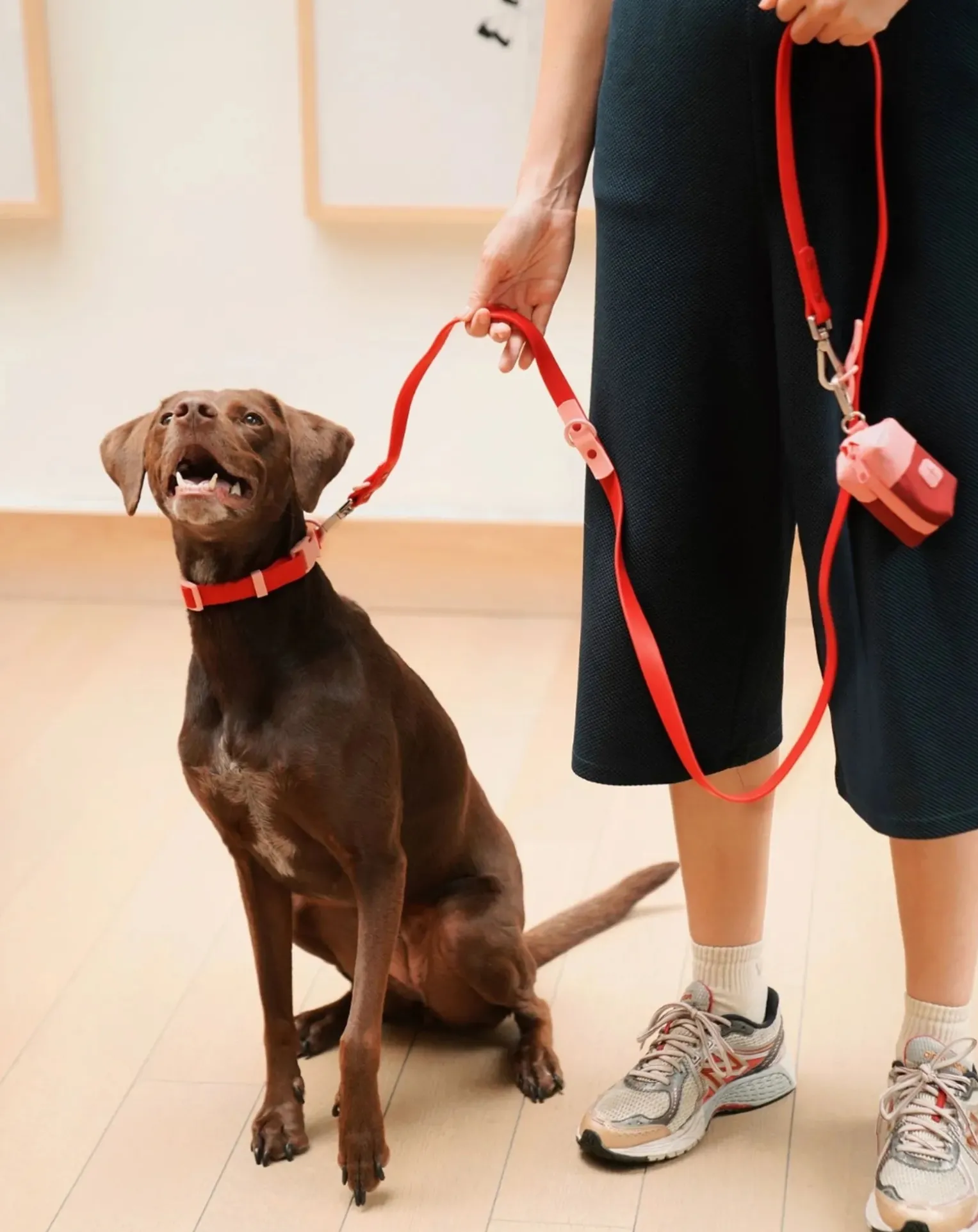Adjustable dog leash