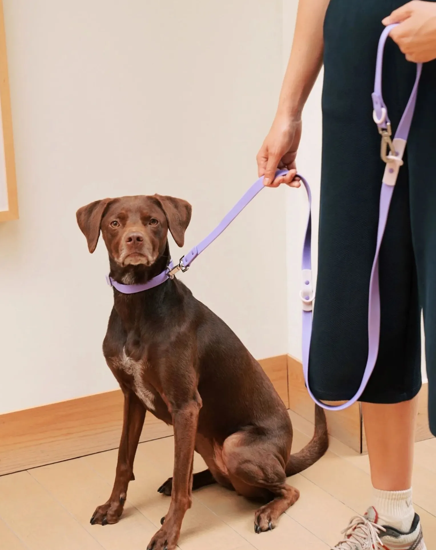 Adjustable dog leash