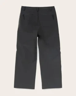 Arc 3L Pants