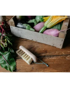 Brosse à légumes en hêtre
