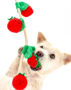 Cherry Tomato digging toy