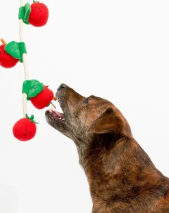 Cherry Tomato digging toy