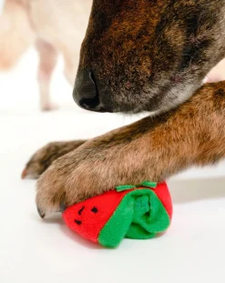 Cherry Tomato digging toy