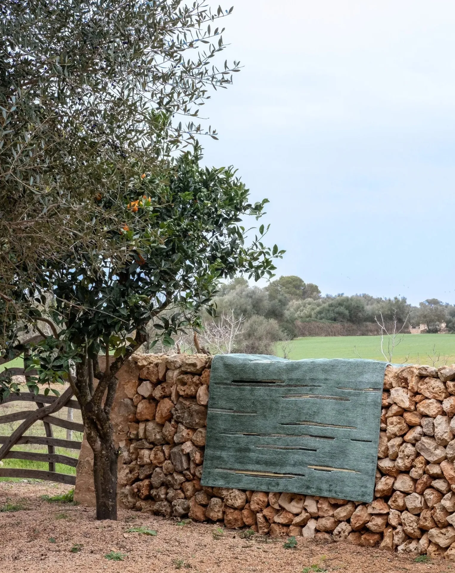 Colorado wool carpet