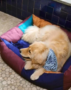 Dog bed