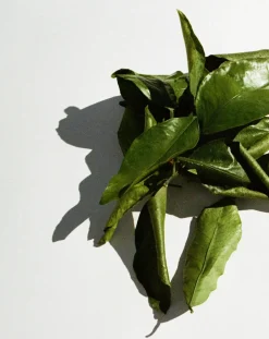 Grapefruit scented candle - 260g