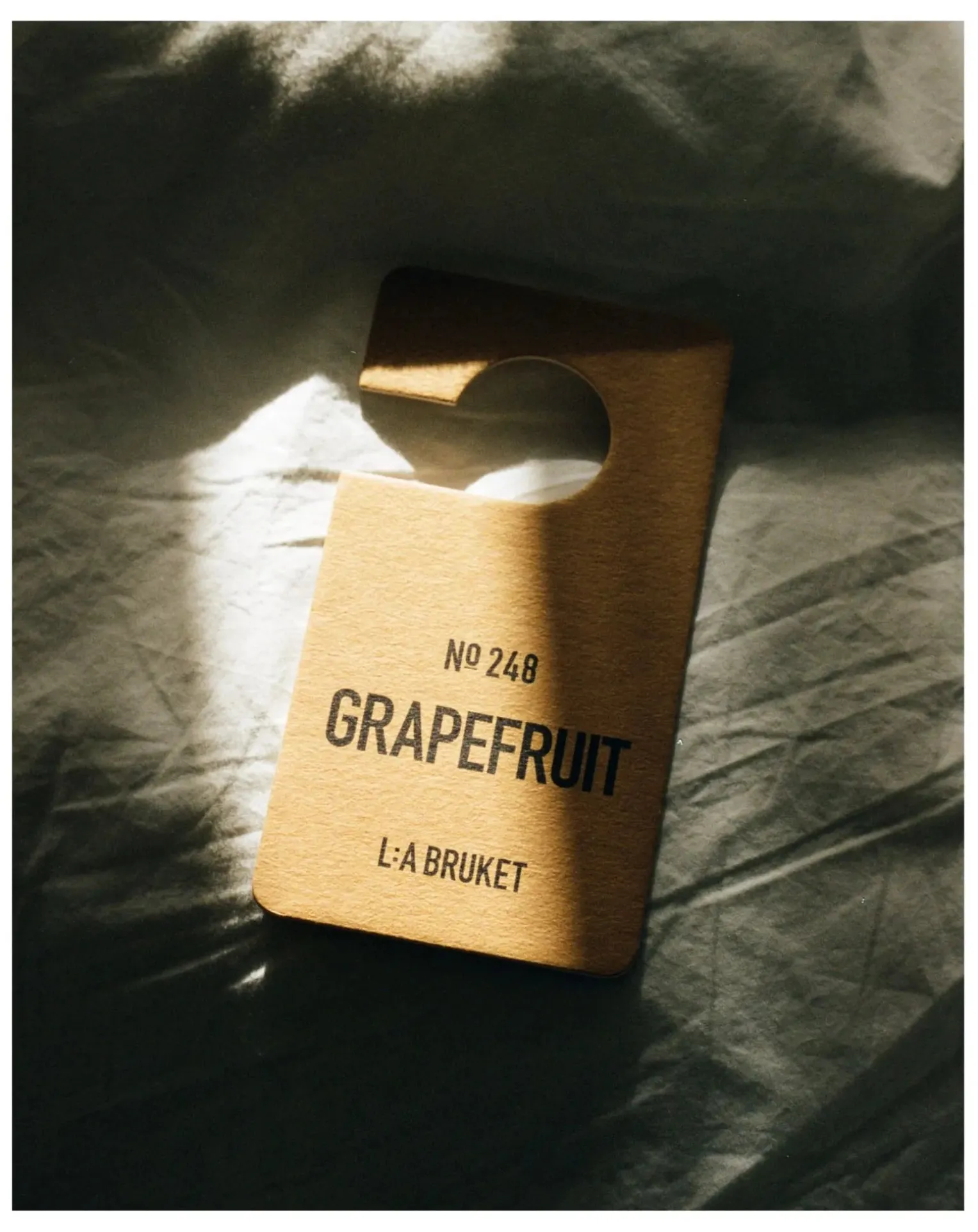 Grapefruit Scented Hanger 248