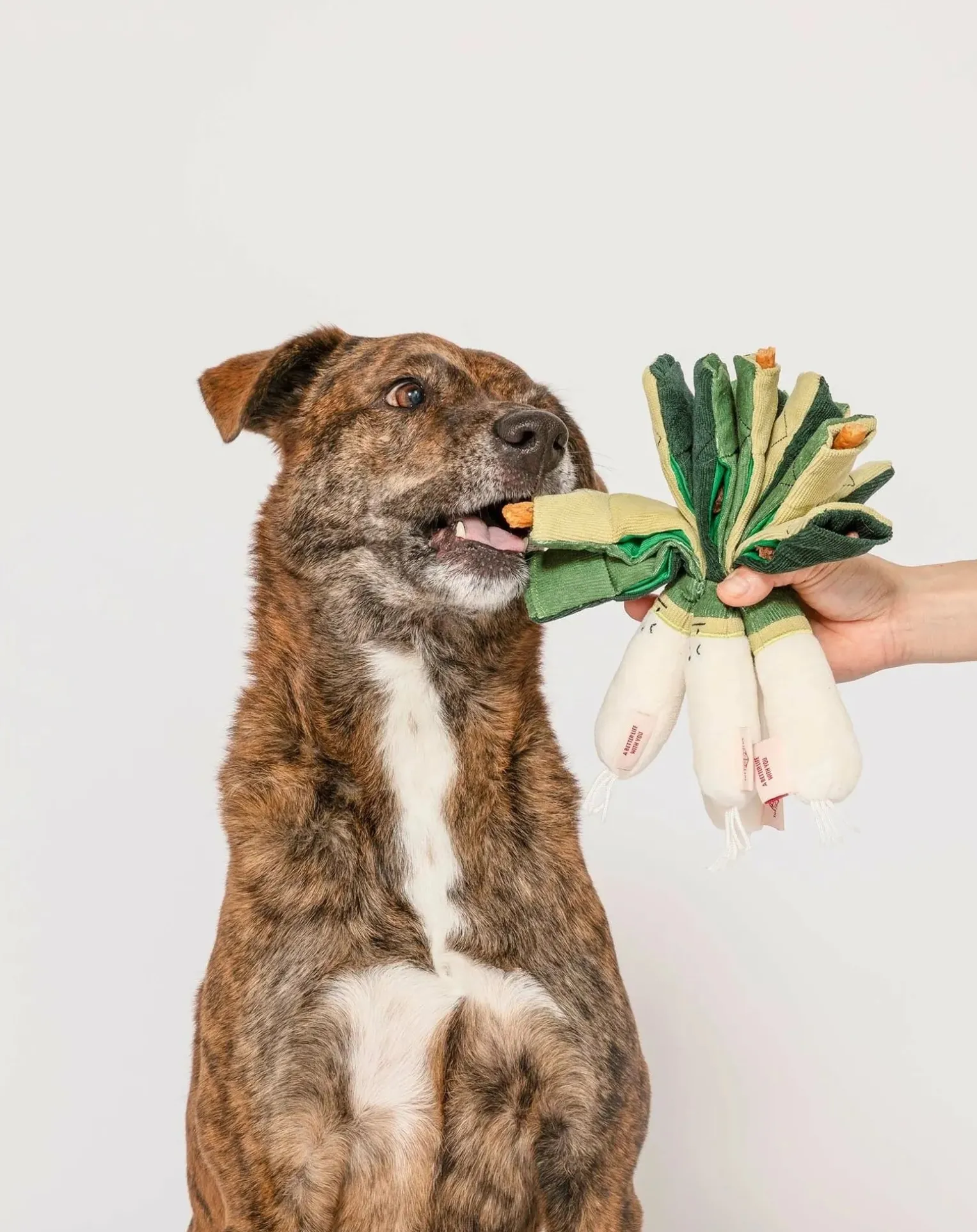 Green Onion digging toy