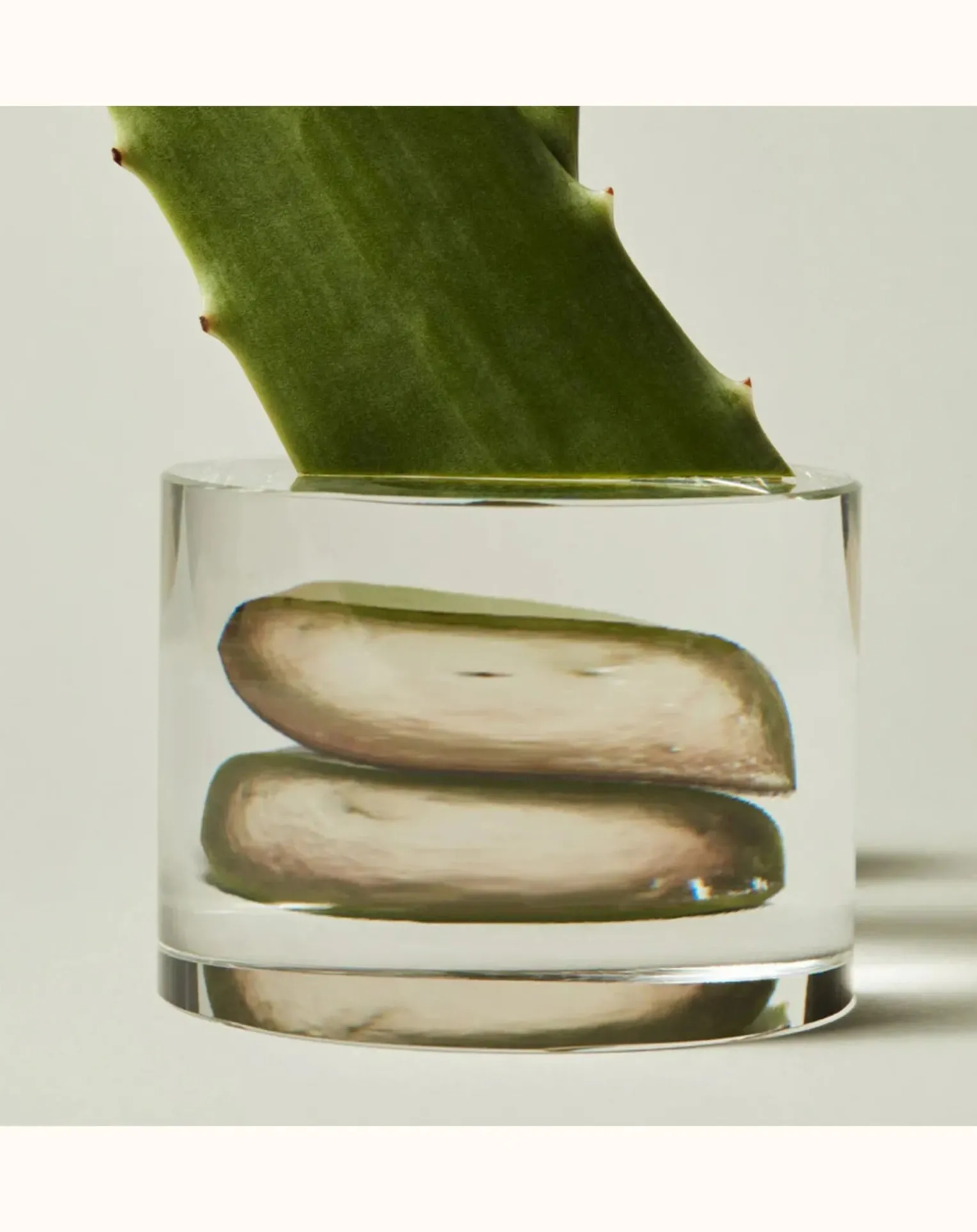 Hand Soap & Scrub - 480 ml