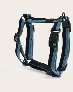 Harnesses