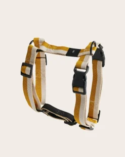 Harnesses