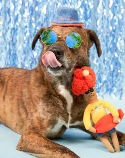 Hooman Surfer digging toy