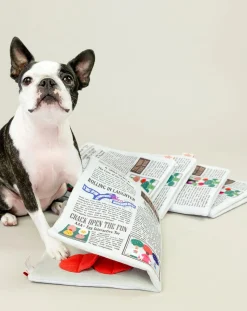 Newspapper digging toy