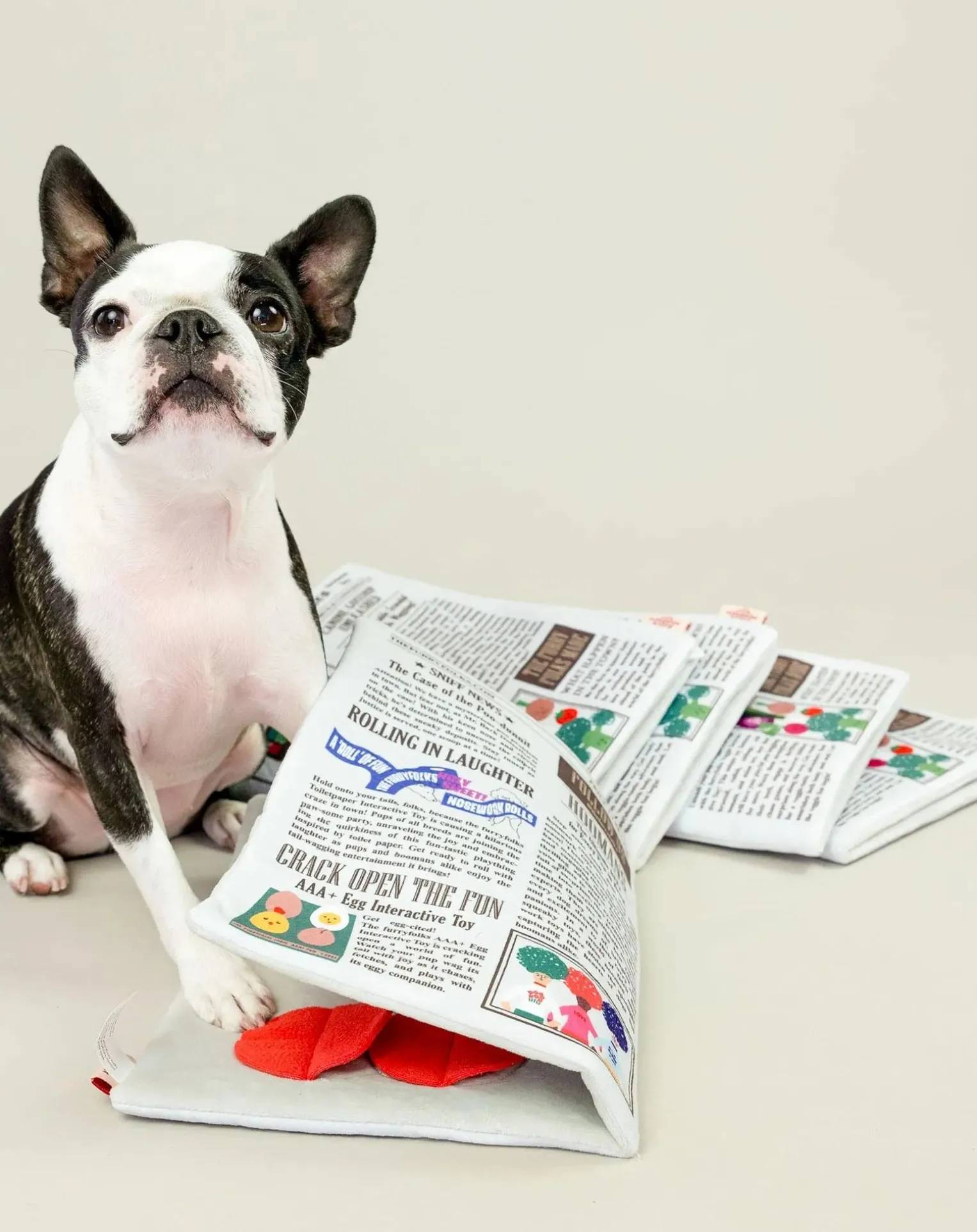 Newspapper digging toy