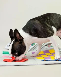 Newspapper digging toy