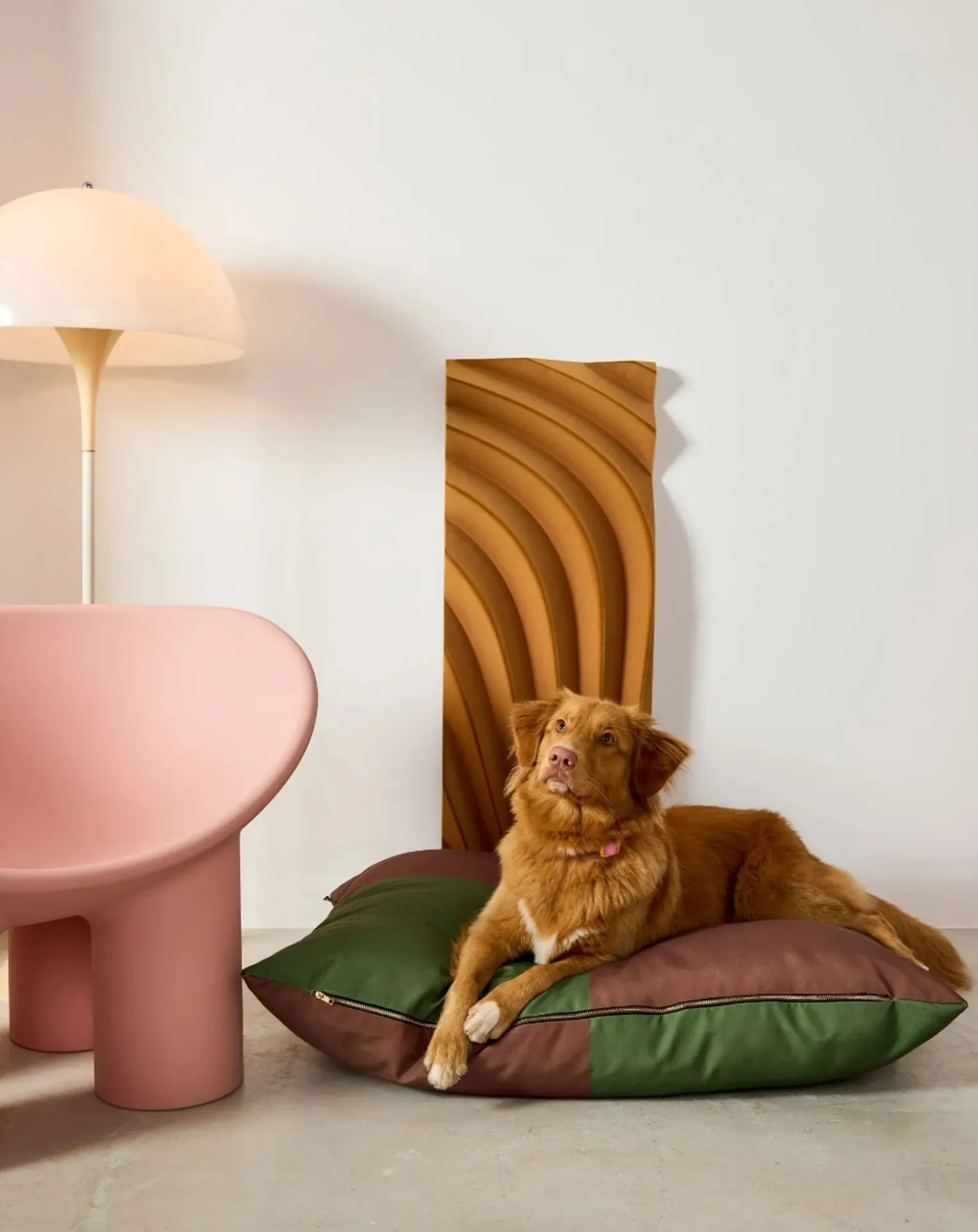 Quartier dog mattress