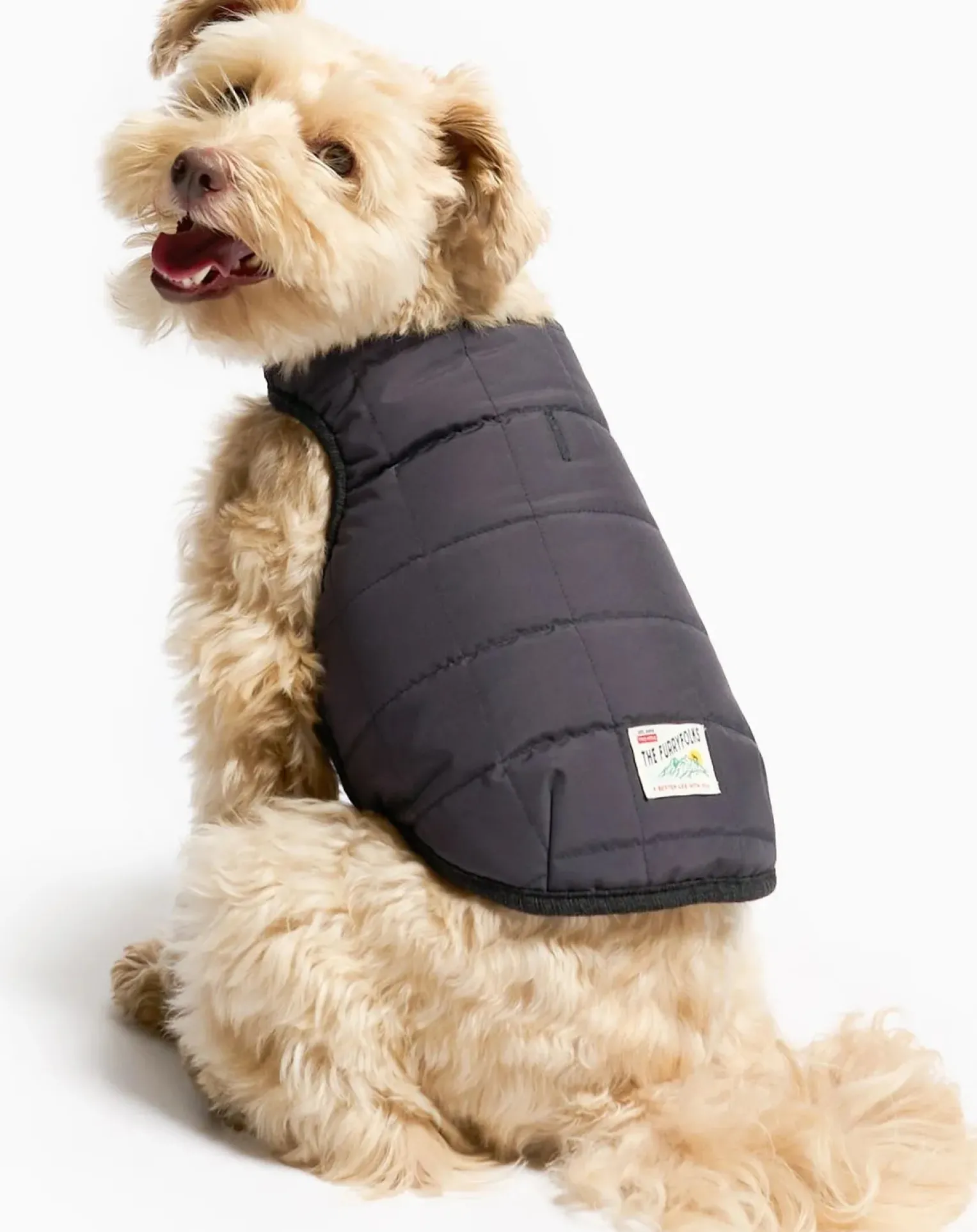 Reversible down jacket