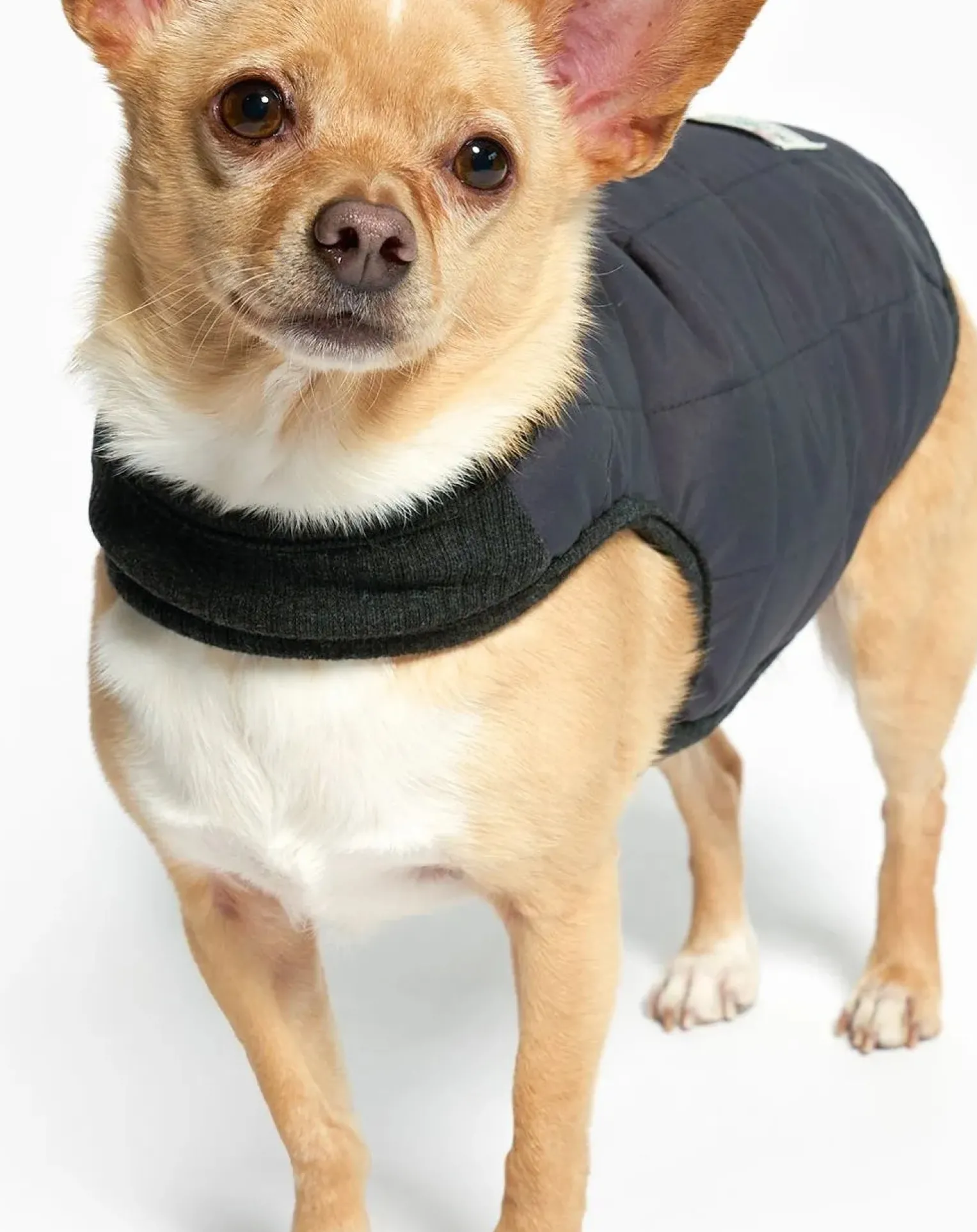 Reversible down jacket