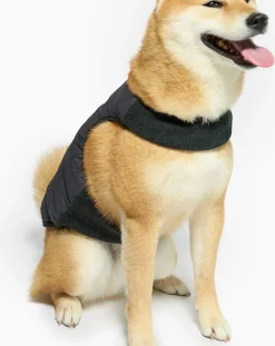 Reversible down jacket