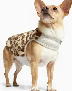 Reversible down jacket