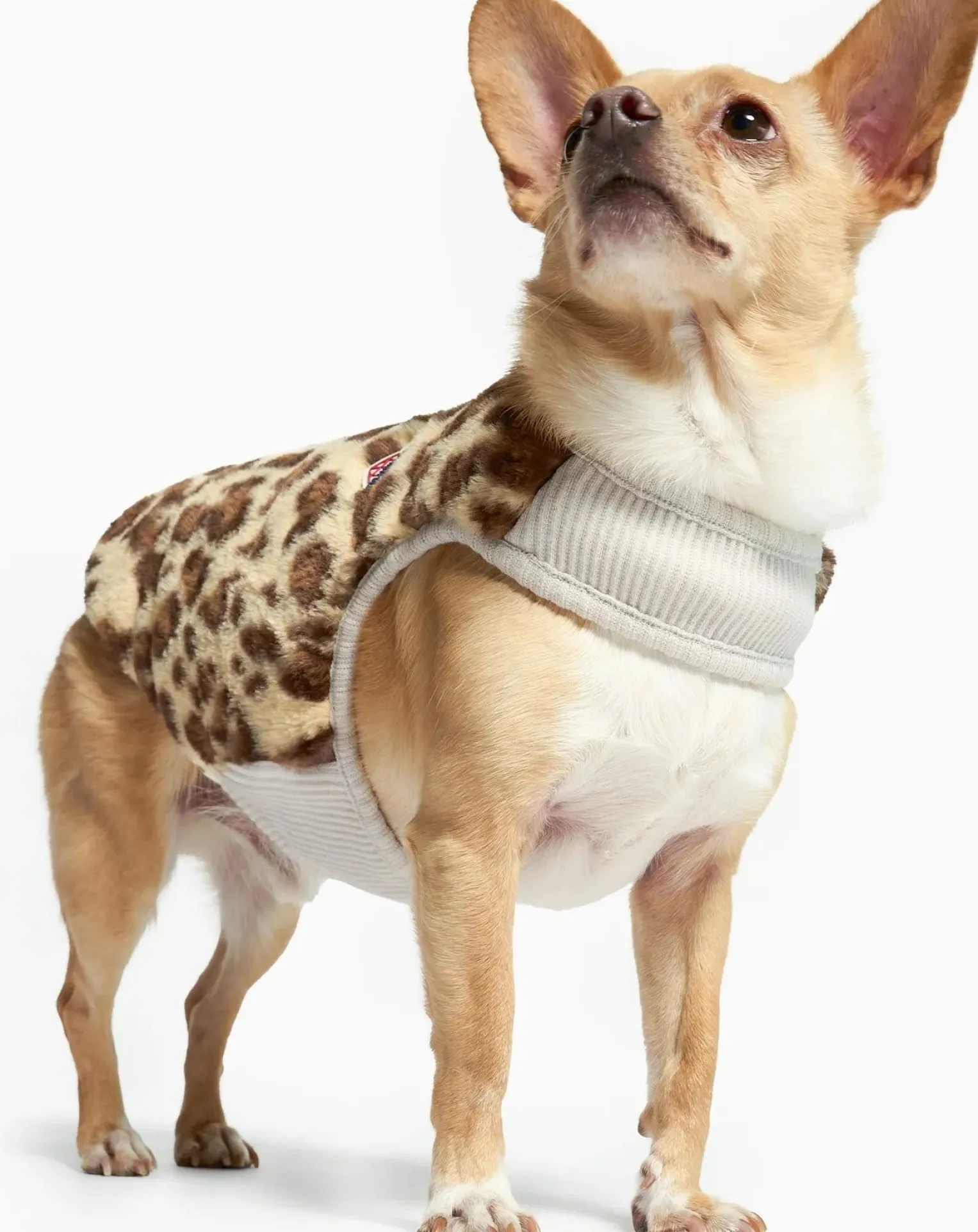 Reversible down jacket