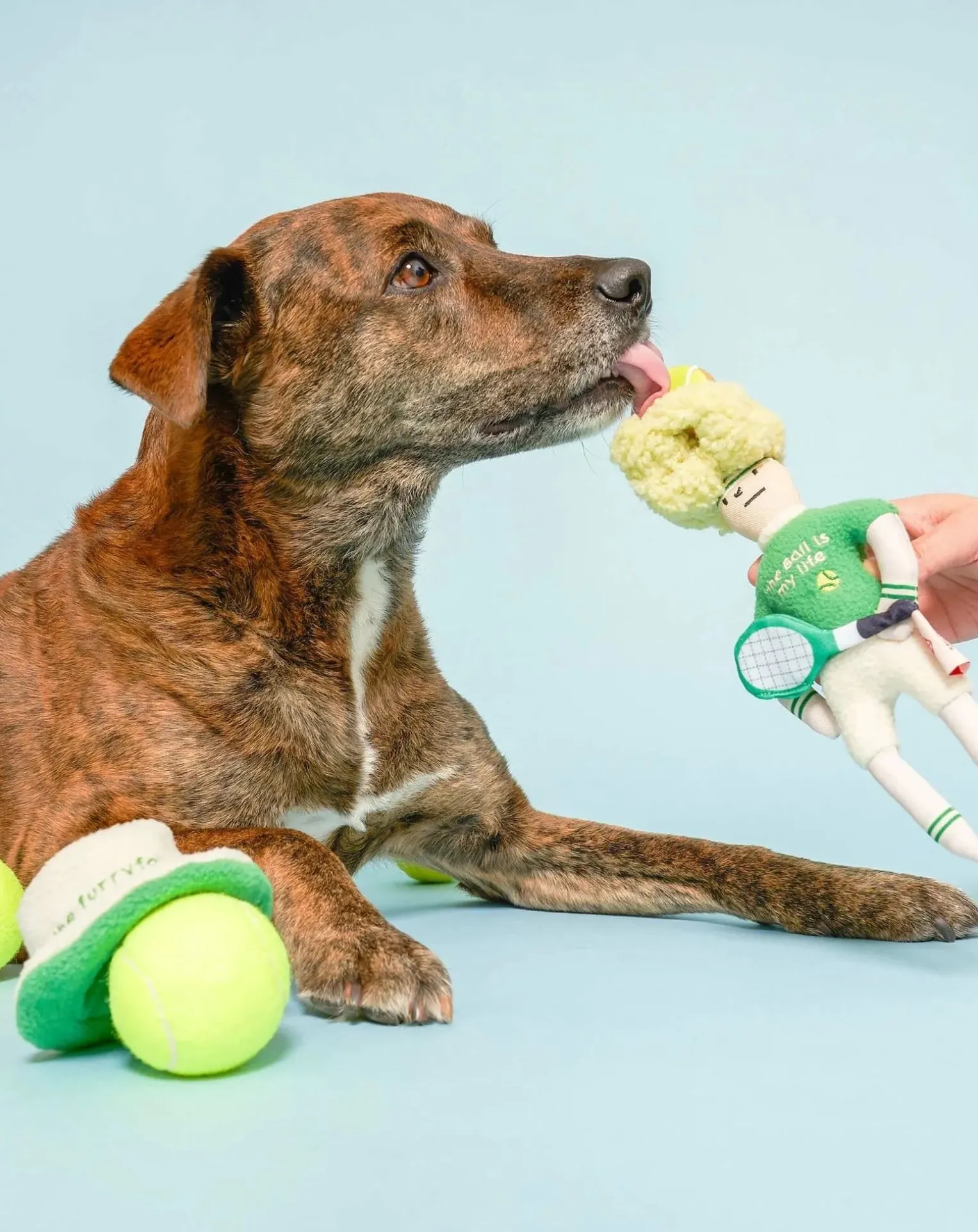 Tennis Hooman digging toy