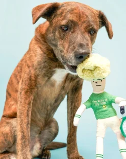 Tennis Hooman digging toy