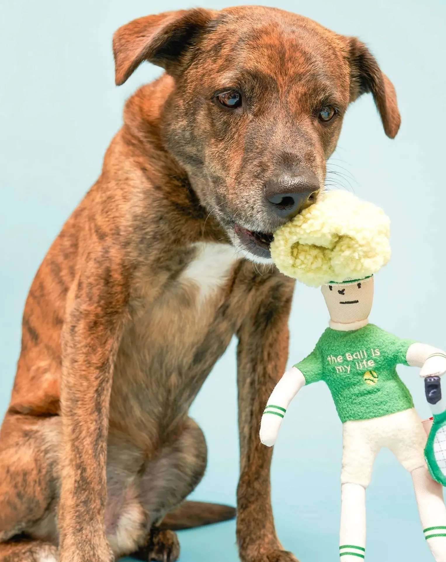 Tennis Hooman digging toy