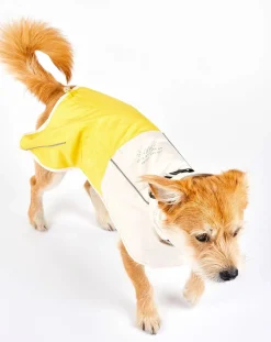 Venture rain coat