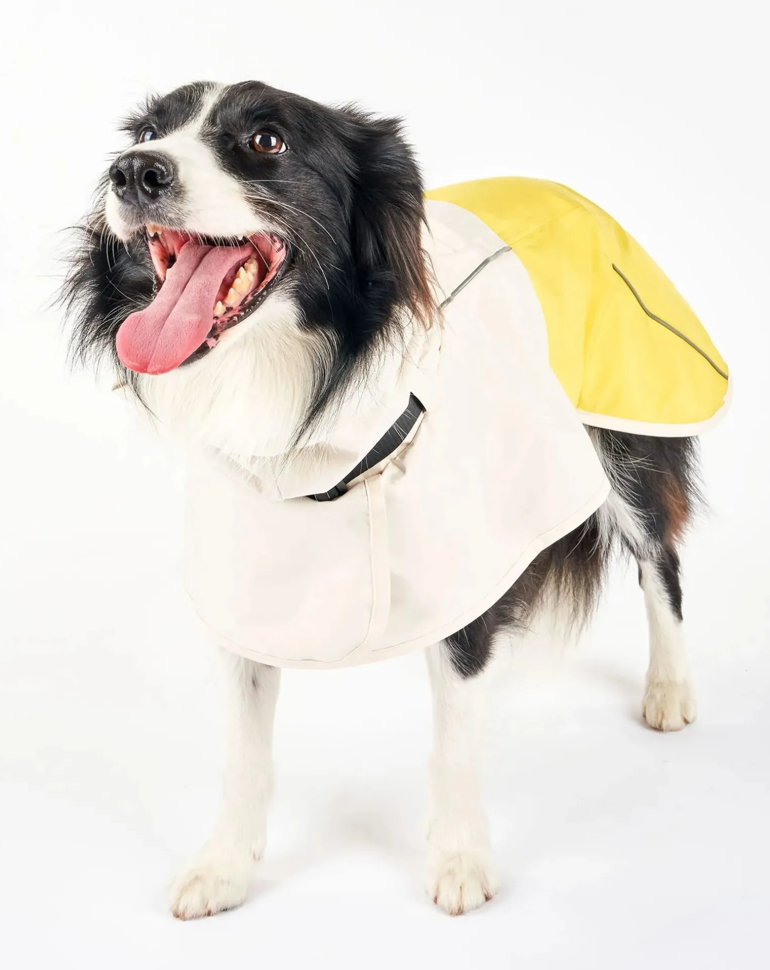 Venture rain coat