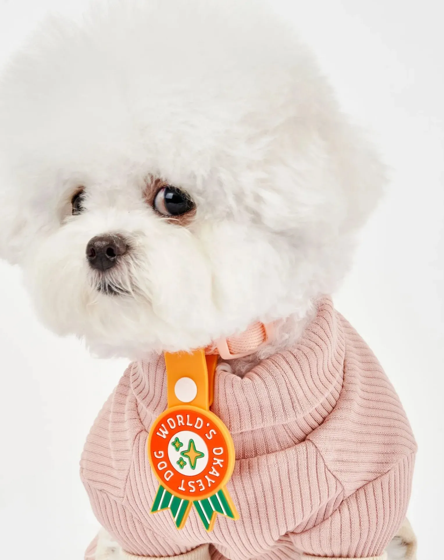 World's Okayest Dog Medal