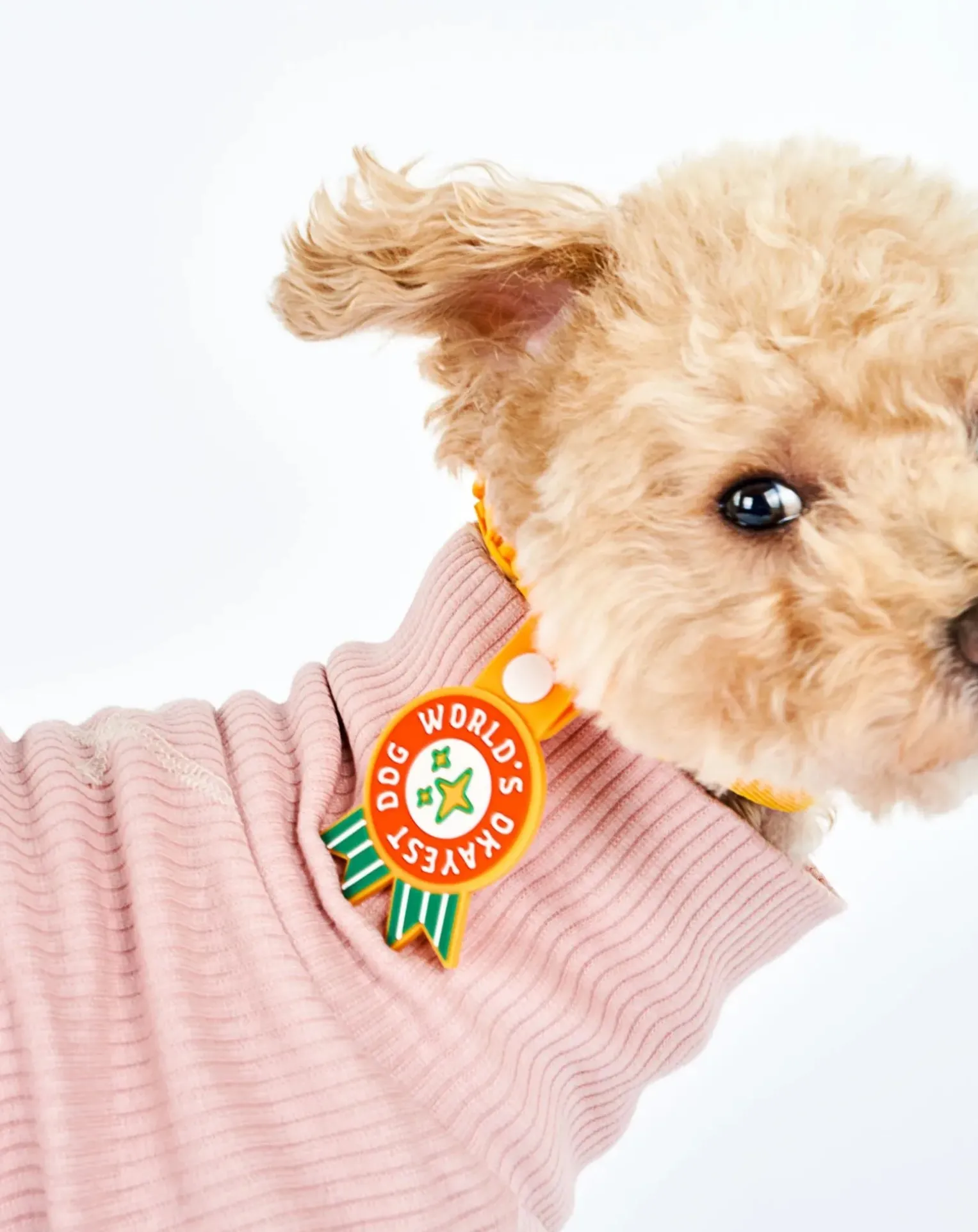 World's Okayest Dog Medal