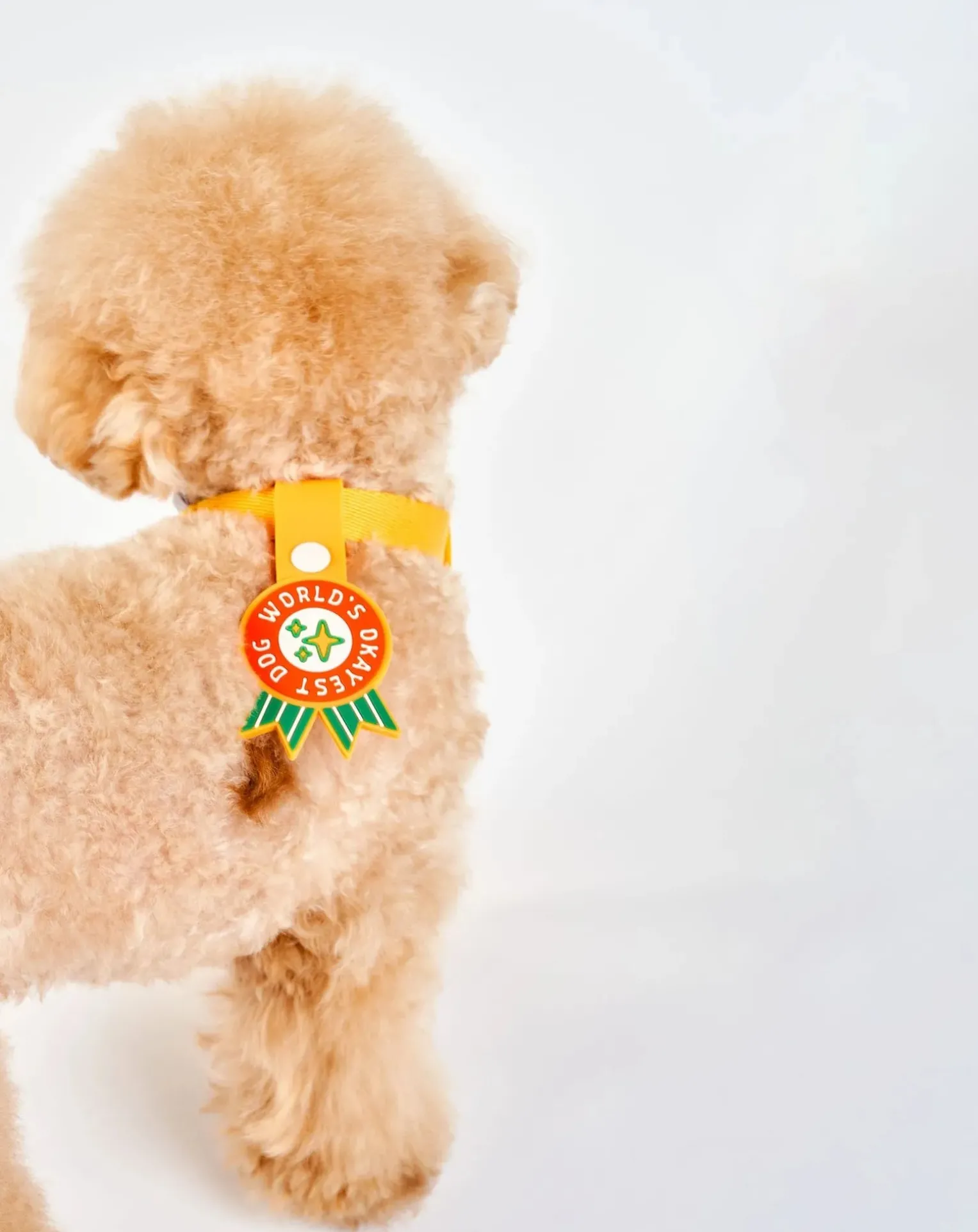 World's Okayest Dog Medal